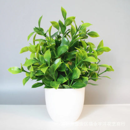 Small Artificial Plants